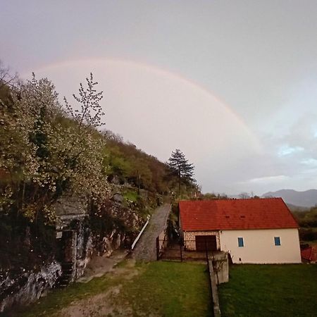 Konak Ugnji-Village ツェティニェ エクステリア 写真