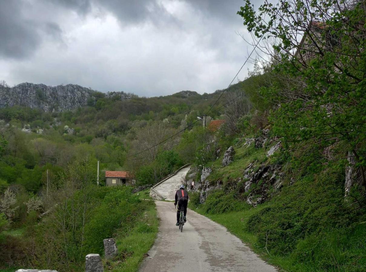 Konak Ugnji-Village ツェティニェ エクステリア 写真