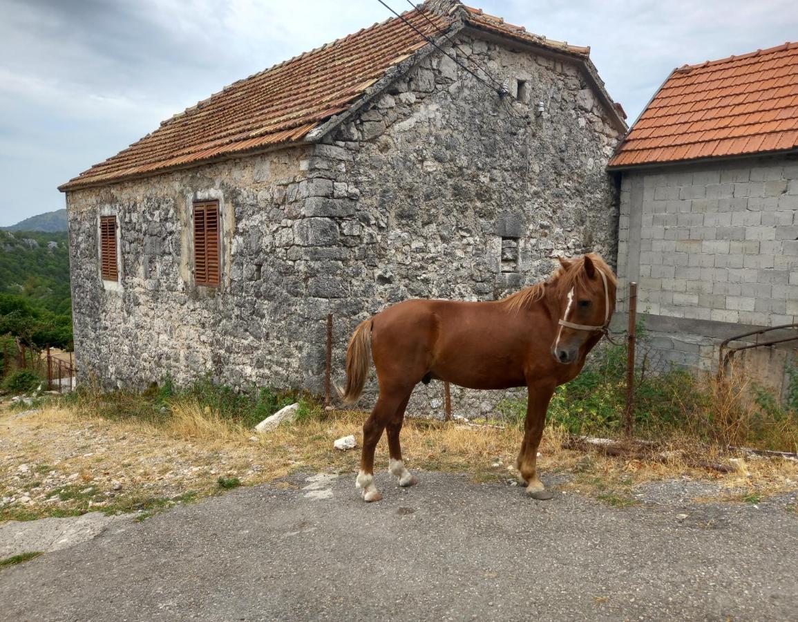 Konak Ugnji-Village ツェティニェ エクステリア 写真