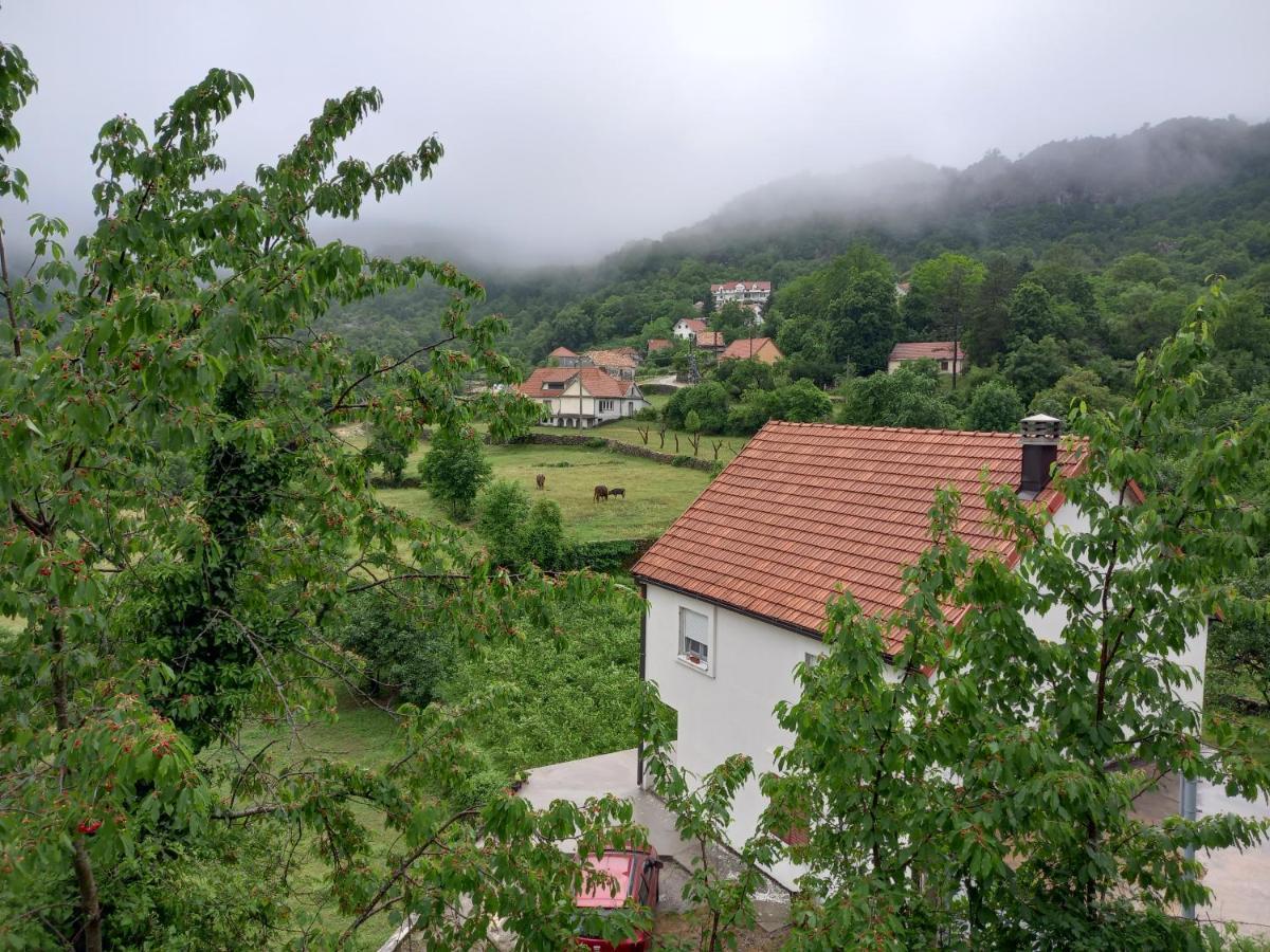 Konak Ugnji-Village ツェティニェ エクステリア 写真