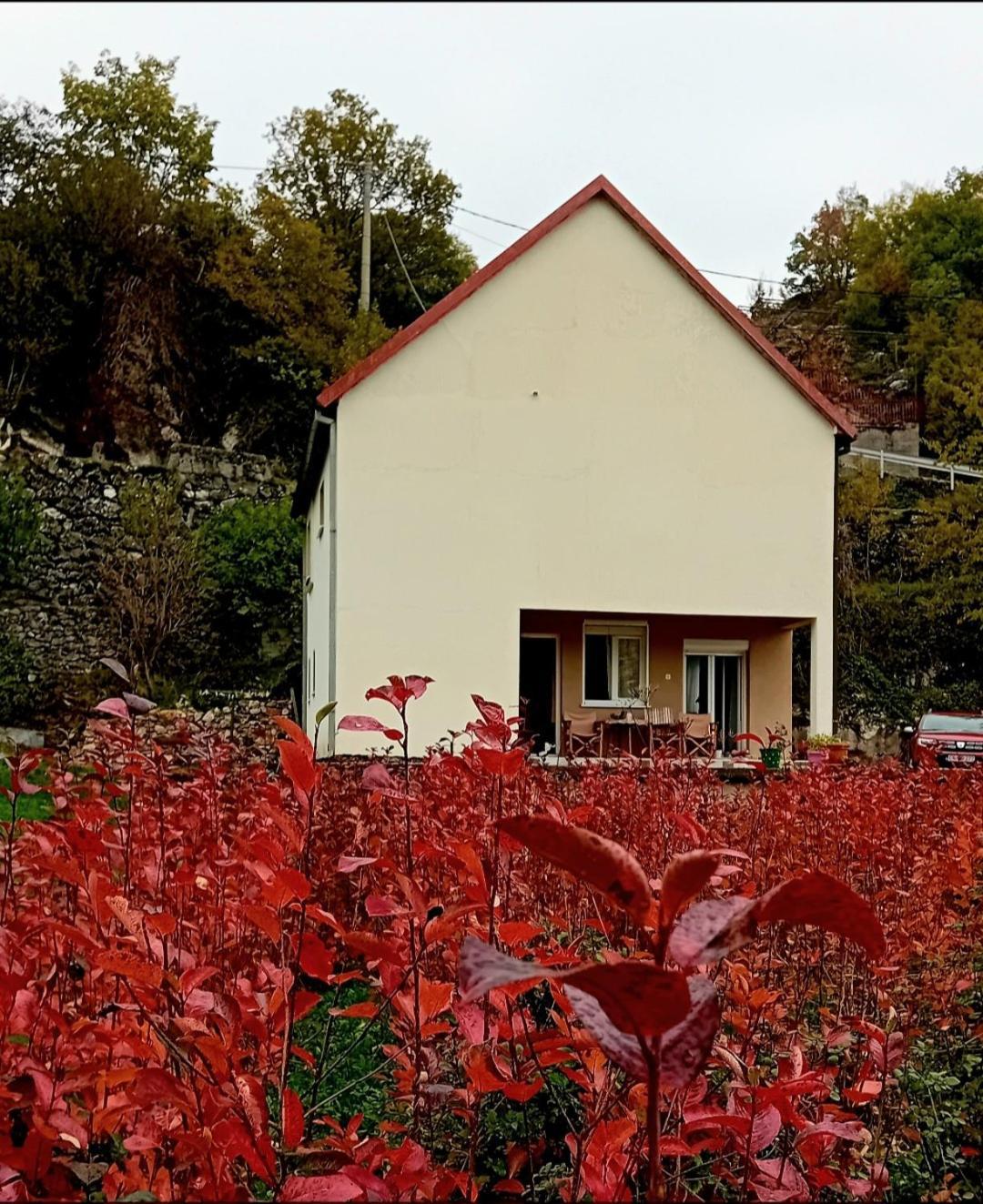 Konak Ugnji-Village ツェティニェ エクステリア 写真